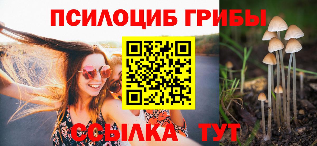 Галлюциногенные грибы GOLDEN TEACHER  Вход с VPN  Мурино 